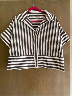 Banana Republic Brown and White Striped Cropped Boxy Shirt